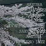 Sakura Relax: Los mejores productos freakys japoneses para disfrutar de la tranquilidad