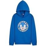 Sudadera Sonic: Análisis y comparativa de las mejores opciones freakys japonesas para lucir la velocidad azul