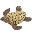Análisis y comparativa: Los mejores productos freakys japoneses inspirados en el duende tortuga