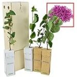 Favor del Árbol Áureo 2: Análisis y comparativa de los productos freakys japoneses más sorprendentes